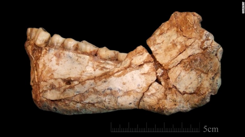 Paleontology znajšly reštky ljudyny vikom 300 tys rokiv