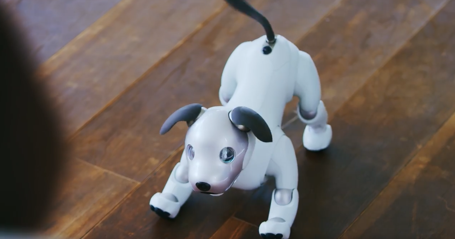Sony повертає у продаж свого робо-собаку