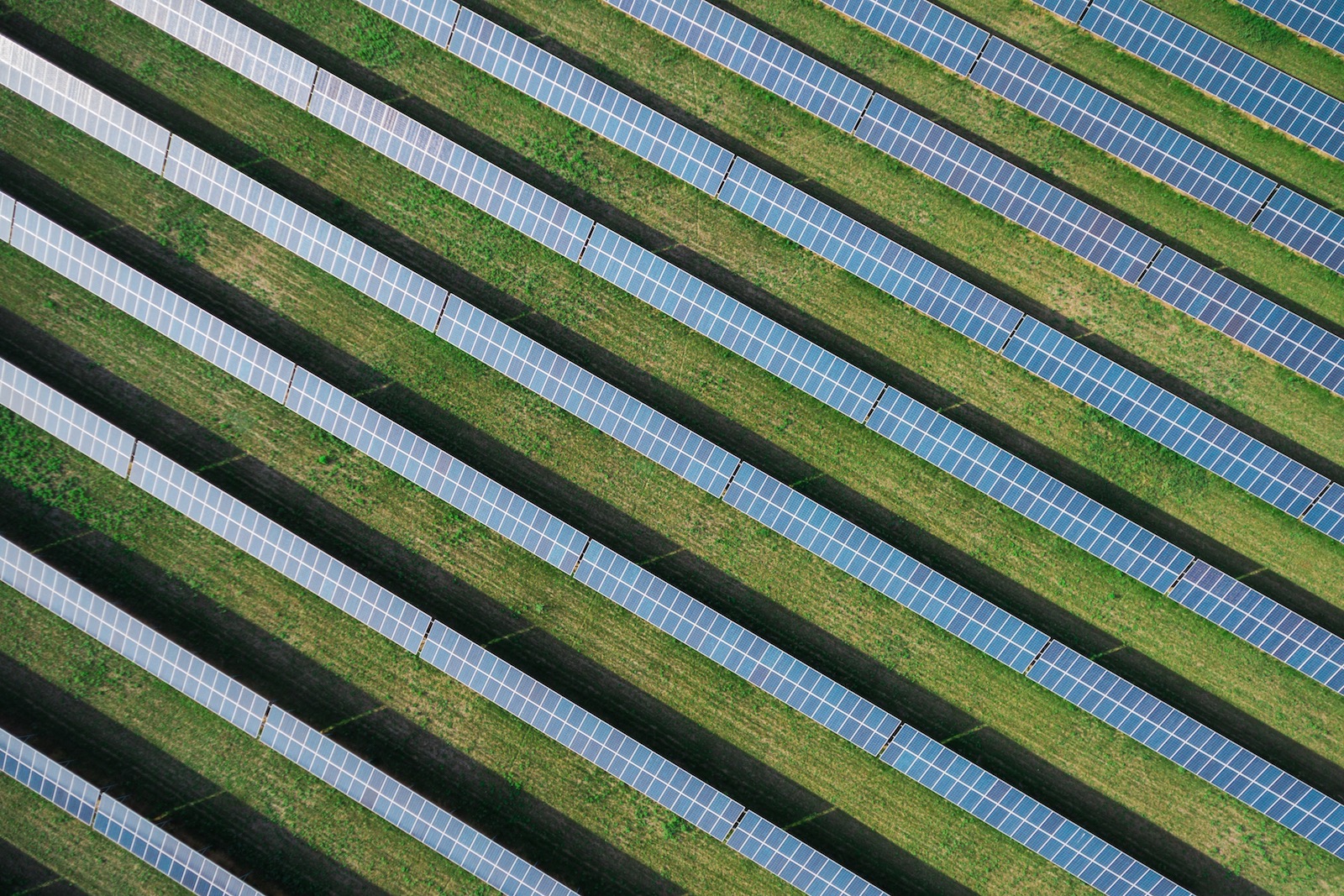 Біогаз на звалищах, нові сонячні станції, інвестиції ЄС — новини «зеленої» енергетики в країні за тиждень