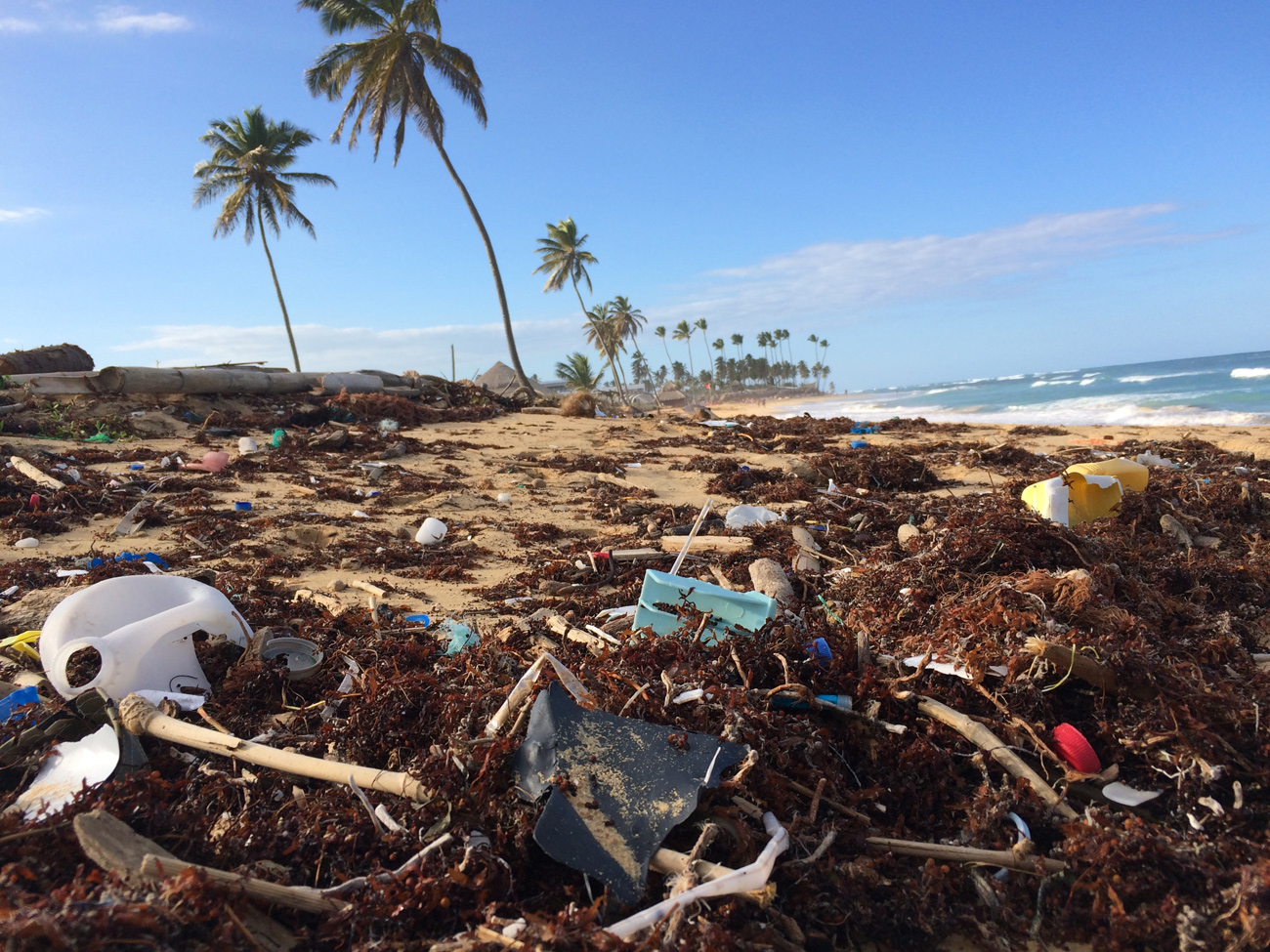 🥺 Doslidžennja: na dni Svitovogo okeanu ležyť do 14 mln tonn plastyku