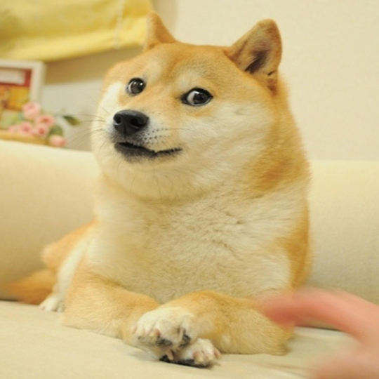 🐕 Mem Doge prodaly na NFT-aukcioni za $4 mln