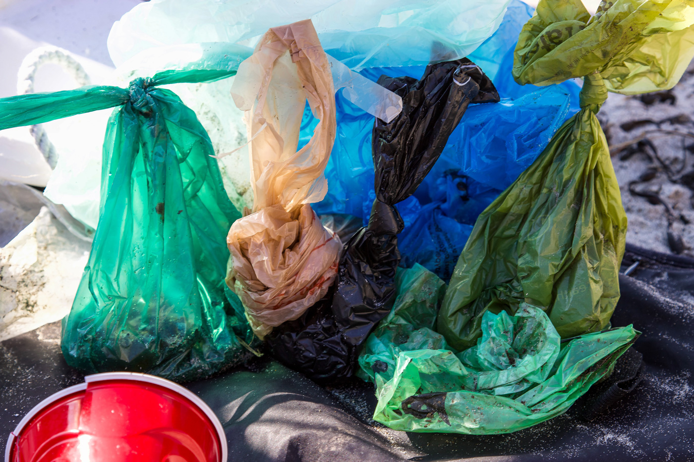 ♻️ Рада прийняла закон про обмеження обігу пластикових пакетів в Україні