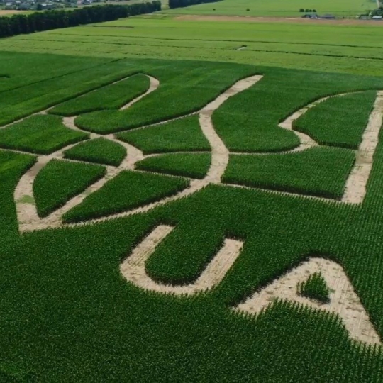 😍 Під Києвом з'явився величезний герб України