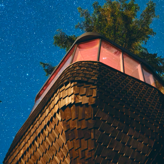🥰 У Норвегії відкрили готель на дереві