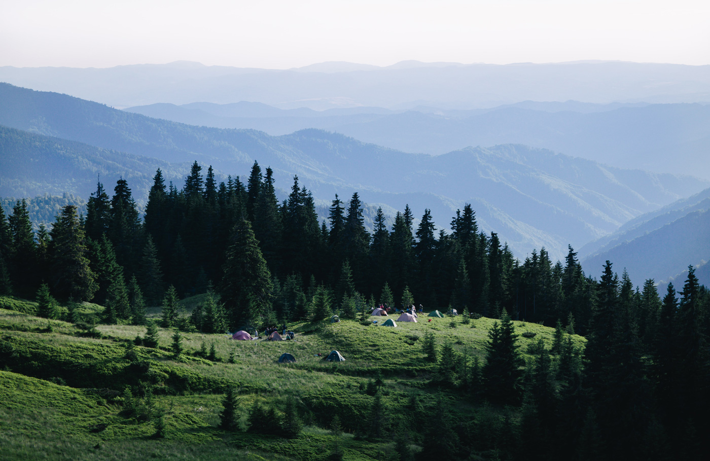 🏔 BABTSYA PARTY: У Карпатах відбудеться нова вечірка IntoTheWild