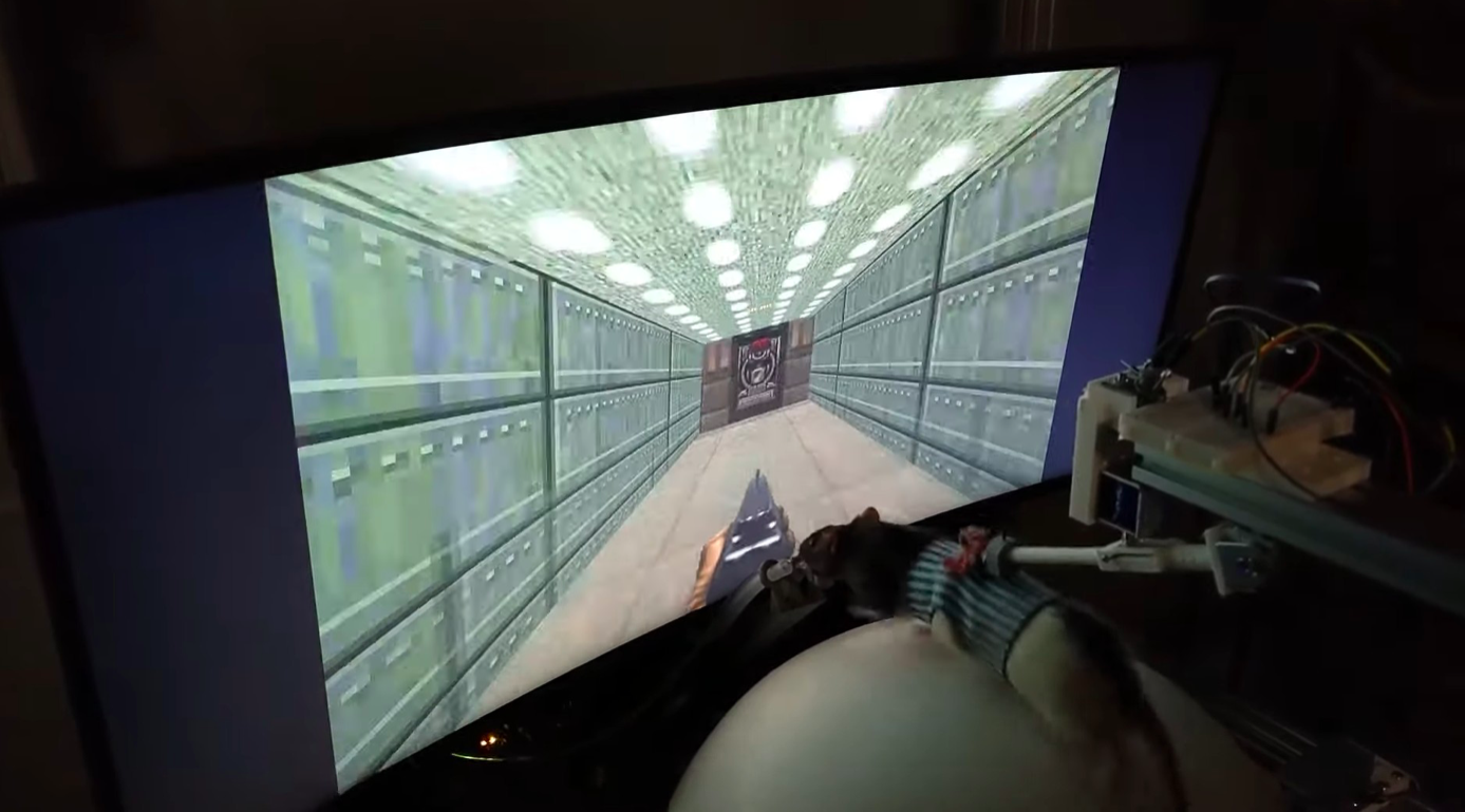 🐁 Відео: щурів навчили грати у Doom II
