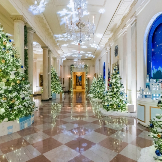 🎄 Створили віртуальні тури Білим Домом, прикрашеним до Різдва 