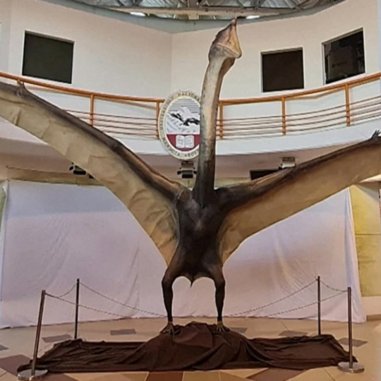 😱 Науковці знайшли динозаврів «Драконів смерті» із розмахом крил на дев'ять метрів