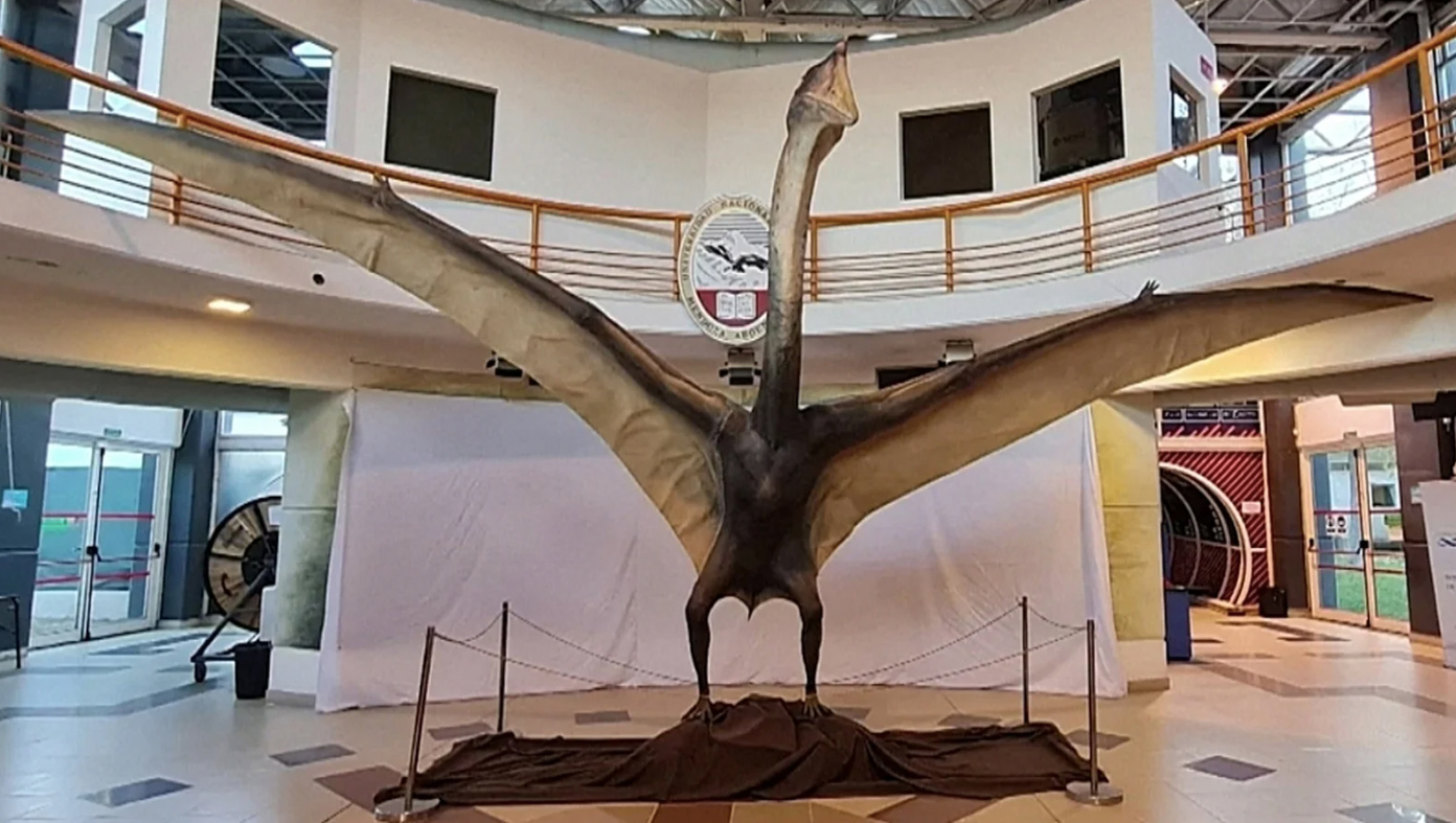 😱 Науковці знайшли динозаврів «Драконів смерті» із розмахом крил на дев'ять метрів