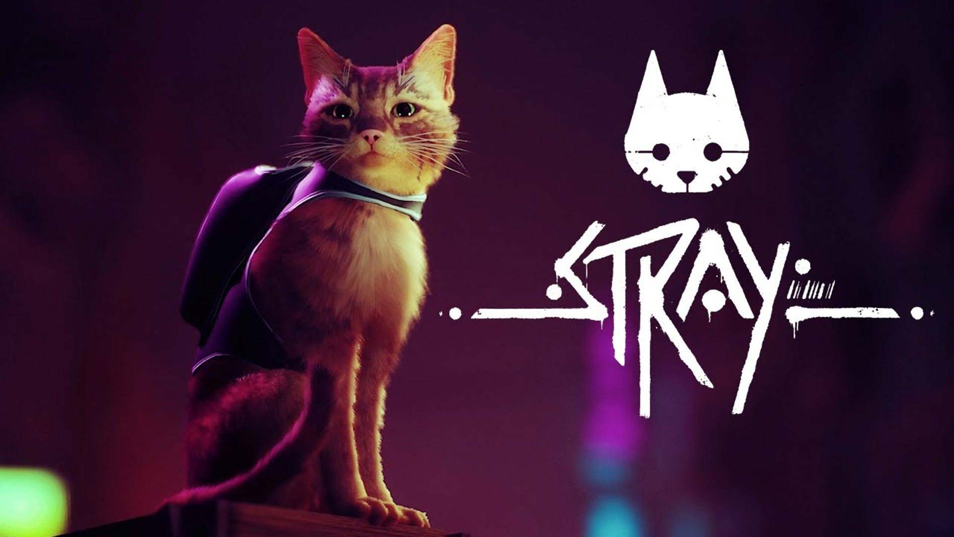 🐱 Stray — чому всім так сподобався симулятор котика в світі кіберпанку