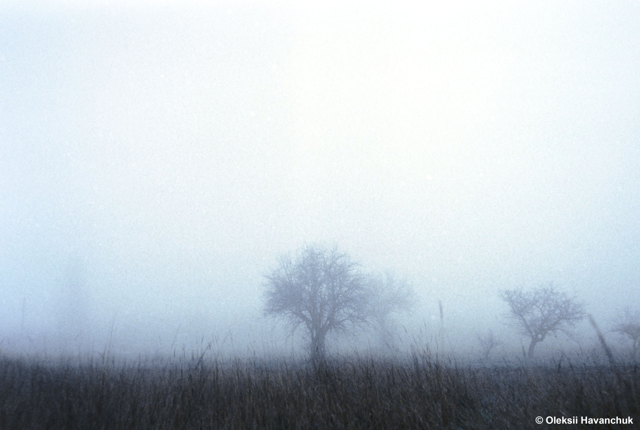 Тур’янські тумани, осінь 2022