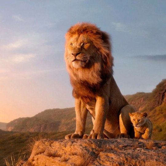 🦁 «Муфаса: Король Лев» — дивіться перший трейлер фільму